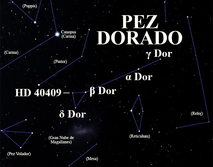 constelación Pez Dorado